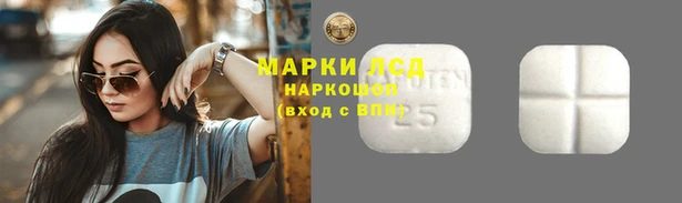 сатива Балахна