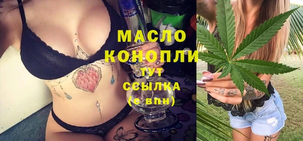 сатива Балахна