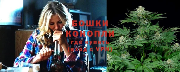 сатива Балахна