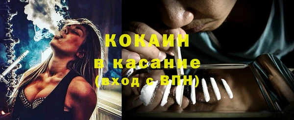 сатива Балахна