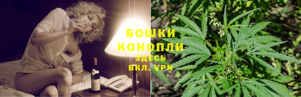 сатива Балахна