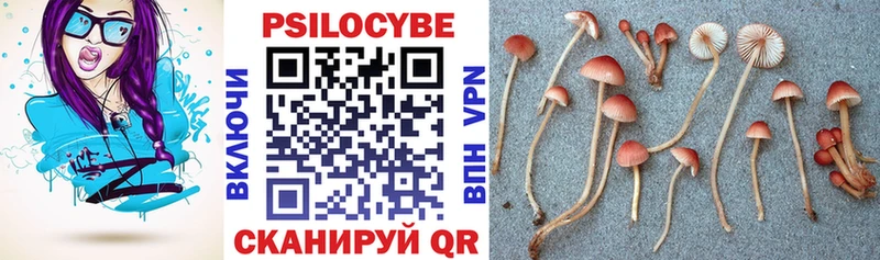 OMG онион  Североморск  Галлюциногенные грибы Psilocybe 